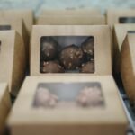 caja de chocolates kraft con ventana